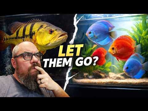 I Almost Sold My Monster Fish…