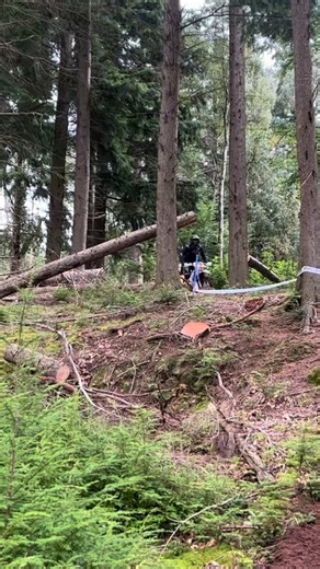 6.8K views · 490 reactions | 1991 Honda CR 250. Video taken at our...