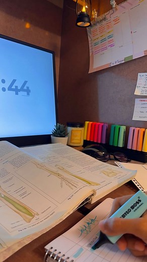 3rd year med student🩺🇮🇳 on Instagram: "Here’s everything you need to know☺️ The Leitner system is a technique that combines the two most proven methods of studying according to science: active recall and spaced repetition, making it one of the most effective memorisation system. . . 1️⃣Make flashcards 📝 on all of the key information you need to know for the exam. (Note: This will take time, so if you don’t have any, go to my profile and watch my reel on feymann an