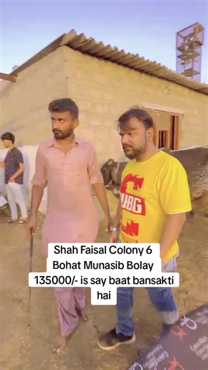Shah Faisal Colony 6 Cattle Farm - Affordable Bulls