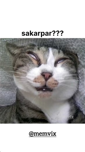 hello guys #memes #popular #viral #funnymemes #tweetreels #helloguys #explore