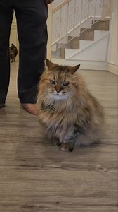 G kenduri kawin kejap je pun .. tu pun HANA da mogok bebel | Fifi Mohd