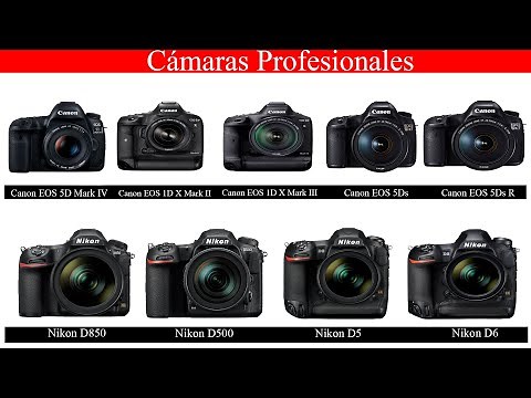Tipos de Cámaras Réflex o DSLR
