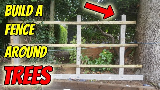 I built the perfect fence around my tree 🌳