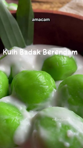 Traditional Malay Kuih: Badak Berendam Recipe and Golden Coin Maker