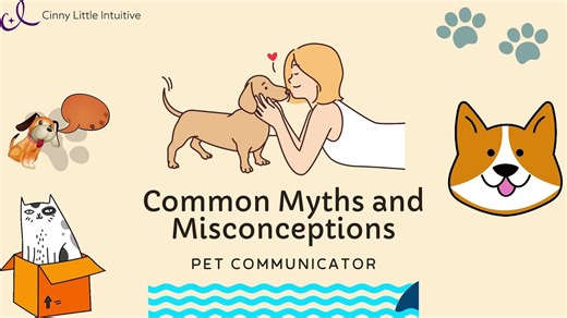 The Healing Power of Pet Communication