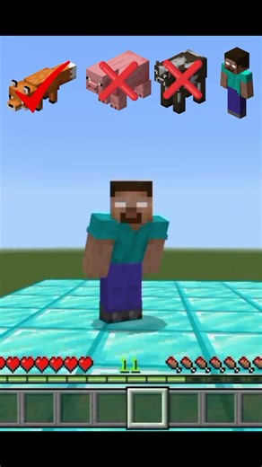 Mobs vs Water Challenge in Minecraft