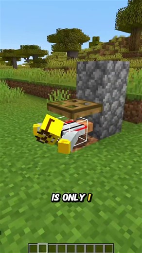 How Does Chorus Fruit ACTUALLY Work in Minecraft? 🤯