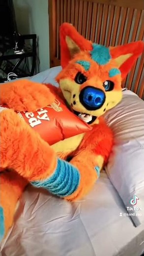Why do furries cuddle everything??