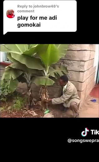 Andu Gomokai by Nahshon Maina: A Classic Kikuyu Gospel Hit