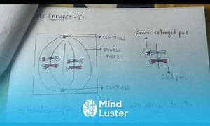 Mind Luster - Learn MEIOSIS I BIOTECHNOLOGY BY PHANINDRA