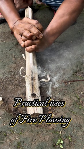 304K views · 2.5K reactions | Practical uses of fire plowing #fireplough #primitivefirelighting #outdoors #survival #selfsufficiency #bushcraft #fblifestyle #fireskills | Dalem Gumino | Facebook
