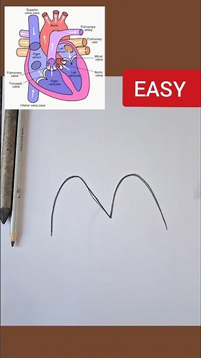 Easy Human Heart Diagram class 10 #class10