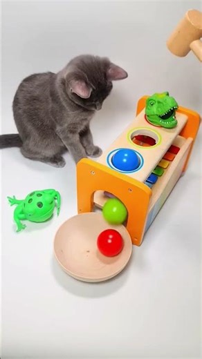 Cat BarsikXylophone ASMR SoundBall MalletWooden Balls sound #xylophone #sweetmarblescandy