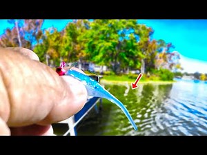 Easy Way To Catch TONS Of Crappie In The Fall 2025!