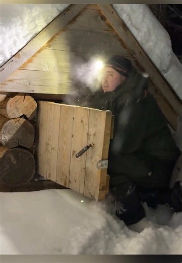 Survival in a Frozen Forest: Building a Cozy Cabin