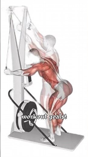 One Workout, Every Muscle, Real Results —The Ultimate Full-Body Training Formula for Transformation