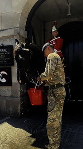 21K views · 347 reactions | Soldier give water to the horse for drink household cavalry museum # #reelsvideoシfypシ゚viralシfypシ゚ #fbreelsvideo #reelsvideo Analyn Vendiola Adriatico Marlon Cacayan Adriatico Fe A. Vendiola | Life in uk | Facebook