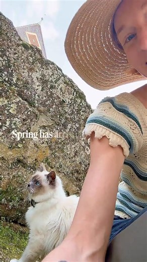 Spring has arrived at the Chateau🐱🌼 #castle #cat #chateau