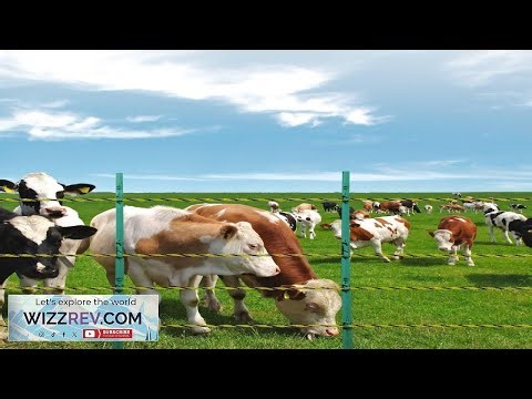 VEVOR Electric Fence Wire 1640Ft 500M Portable Polywire 1 8" Diameter 6 Stainless