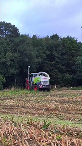 Claas Jaguar 950 mit Kemper Maisgebiss | Landwirtschaft im Kreis Coesfeld