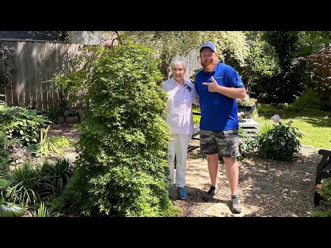 Let’s Tour Cindy Bolz Maple Garden in Dallas, Texas
