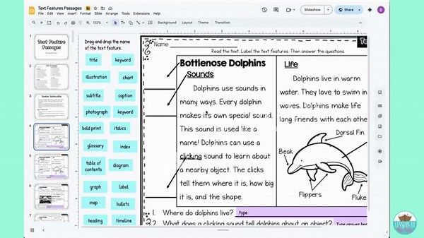 How To: Text Features Practice Activity