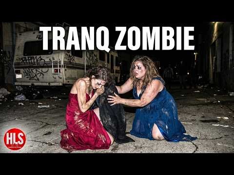 California Homeless Crisis 2026: The "Tranq Zombie" Epidemic & The $22 Billion Failure