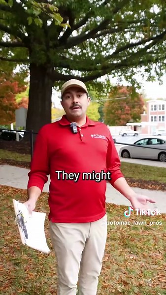 3 Reasons Your Grass Isn't Growing