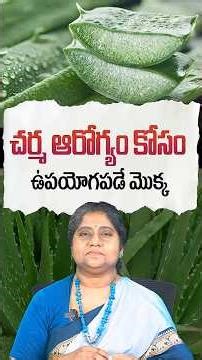 చర్మ ఆరోగ్యం కోసం ఉపయోగపడే మొక్క | Best Ayurvedic Plant for Skin Health | Vardhan Ayurveda