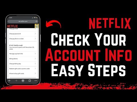 How to Check Your Netflix Account Info !