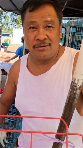 This Hen Lays ORGANIC Eggs?! 🥚🐔 #philippines #farm #chicken #egg #shorts