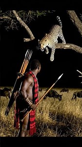 Juma the Spear Master vs a python coiled around a tree branch on the African Savanna