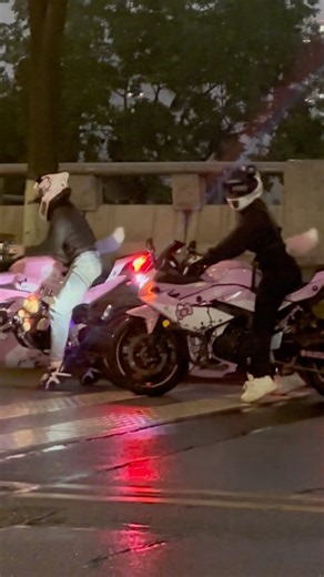 Why is it so PERFECT 🥹😭🐈 #viral #biker #driving #furry #car