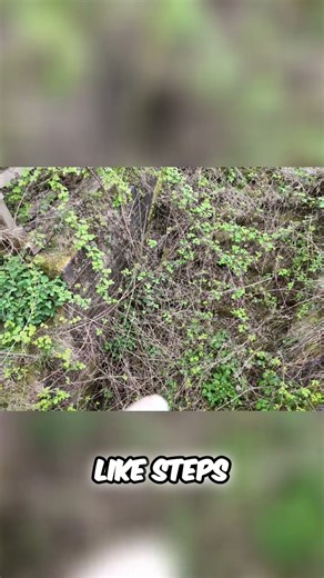 Moatbank Lane Bridge History and Canal Exploration on the Lichfield Canal