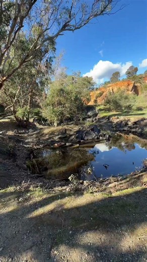 This 7km loop through Gooseberry Hill National Park features scenic views over the Darling Scarp and