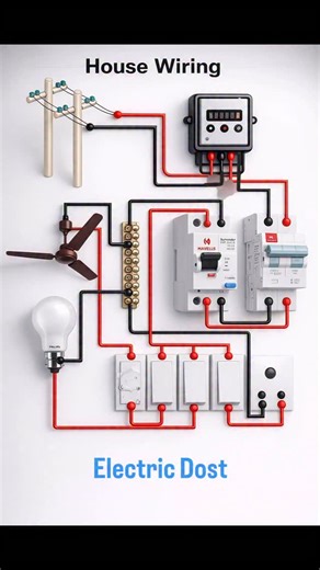 Electric Dost on Instagram: "House Wiring Diagram Explained | Basic Electrical House Wiring for Beginners •House wiring connection • Phase and neutral wiring • MCB & RCCB connection • Switchboard wiring • Fan and bulb wiring circuit #HouseWiring #ElectricalWiring #MCB #RCCB #SwitchboardWiring ElectricalBasics ElectricSchool HomeElectrical"