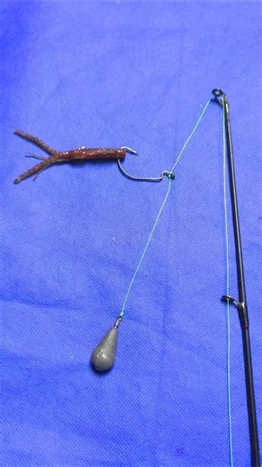 Tips on How to Tie a Fishing Hook and Attach Bait