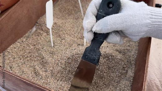 Archaeological excavations, archaeologists work, dig up an ancient clay artifact with special tools in soil