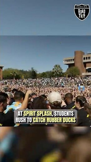 Do you know the history behind UCF Spirit Splash and its ducks? | Florida Road Trip