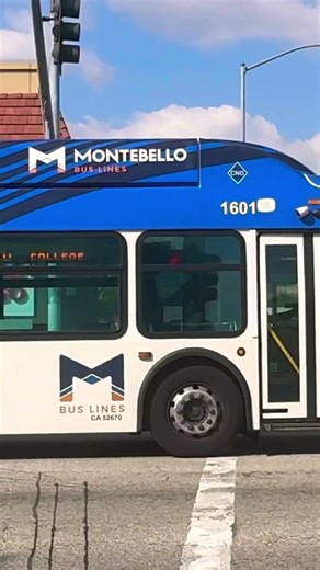 10 going to last stop .