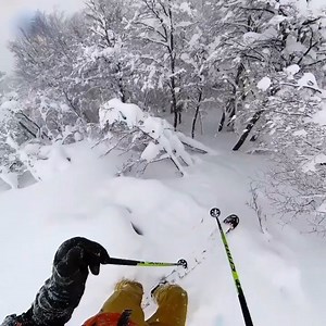 Yesterday = The Best Tree Skiing on Earth? We think so at least... These are our favorite trees to ski anywhere. It's still a bit thin down low and the snow was very wet and funky yesterday but we still managed to have an absolute hoot 🦉 out there. We were thoroughly soaked by 1pm and loved it! A large storm is forecast to hit on Friday/Saturday. Bring on the snow! Thanks, Patagonia ☺️🙏 ***Full Report on SnowBrains.com 🖥️*** 📌 @cerrocatedralok 🏄 @miles_clark 🦵 @live.momentous | SnowBrains