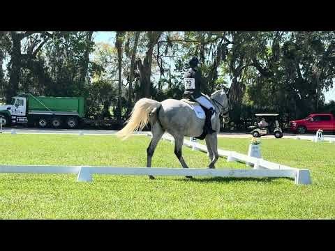 Gus novice test b