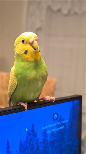 Flawless object tracking 😎