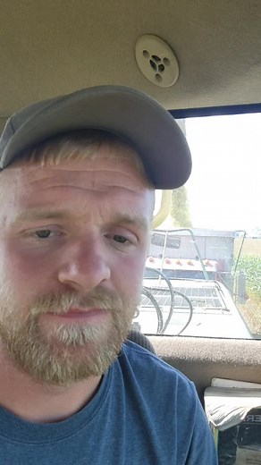 And we didn't even sidedress this corn #farmtok #choppingsilage #corn#harvest2021 #michiganfarmer