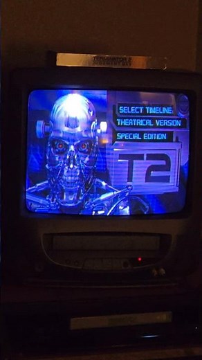 Terminator 2 Ultimate Edition DVD Menu. lost art
