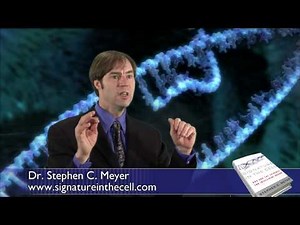 Stephen Meyer, Signature in the Cell: What is intelligent design?