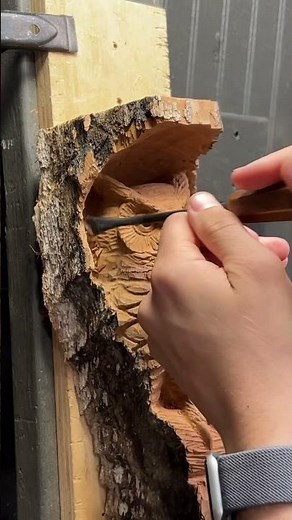 Carving a Great Horned Owl in Cottonwood Bark