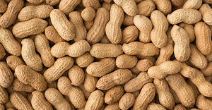 10 Fun Facts About Peanuts