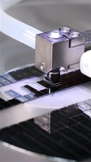 Die sorting of photonic spot size converter chips